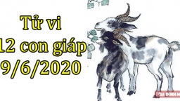 Tử vi 12 con giáp hôm nay 9/6: Tuổi Mùi gặp rào cản, tuổi Dậu thuận lợi