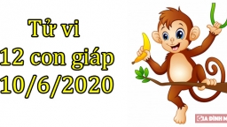 Tử vi 12 con giáp hôm nay 10/6: Tuổi Tị thuận lợi, tuổi Thân gặp nhiều rắc rối