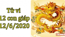 Tử vi 12 con giáp hôm nay 12/6: Tuổi Sửu thành công, tuổi Thìn gặp nhiều trở ngại