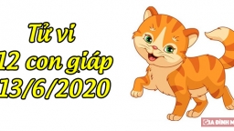 Tử vi 12 con giáp hôm nay 13/6: Tuổi Mão thăng hoa, tuổi Thìn bế tắc