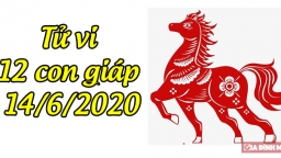 Tử vi 12 con giáp hôm nay 14/6: Tuổi Tý tài vận hanh thông, tuổi Ngọ điềm báo xui xẻo