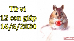 Tử vi 12 con giáp hôm nay 16/6: Tuổi Tý gặp khó khăn, tuổi Sửu hanh thông thuận lợi