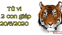 Tử vi 12 con giáp hôm nay 20/6: Tuổi Dần may mắn, tuổi Ngọ xui xẻo