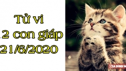 Tử vi 12 con giáp hôm nay 21/6: Tuổi Mão tình cảm tốt đẹp, tuổi Dậu chịu thiệt thòi