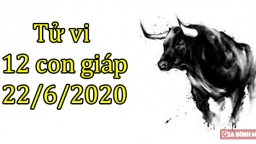 Tử vi 12 con giáp hôm nay 22/6: Tuổi Sửu bị lợi dụng, tuổi Mão nhiều may mắn