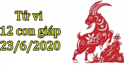 Tử vi 12 con giáp hôm nay 23/6: Tuổi Mùi dễ chịu, tuổi Tuất thiếu trung thực