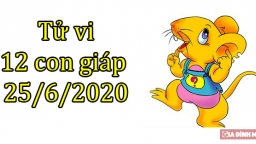 Tử vi 12 con giáp hôm nay 25/6: Tuổi Tý thuận lợi, tuổi Sửu gặp trục trặc