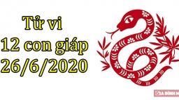 Tử vi 12 con giáp hôm nay 26/6: Tuổi Tị gặp tiểu nhân, tuổi Thìn tích cực