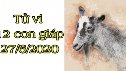 Tử vi 12 con giáp hôm nay 27/6: Tuổi Thìn gặp trở ngại, tuổi Mùi tài lộc rất vượng