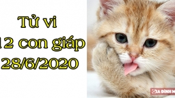 Tử vi 12 con giáp hôm nay 28/6: Tuổi Mão tích cực, tuổi Tị gặp nhiều rủi ro