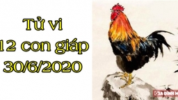 Tử vi 12 con giáp hôm nay 30/6/2020: Tuổi Dậu sự nghiệp may mắn, tuổi Mão không trọn vẹn