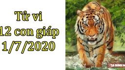 Tử vi 12 con giáp hôm nay 1/7/2020: Tuổi Dần gặp tiểu nhân, tuổi Thìn đón nhận tin vui