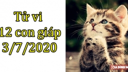 Tử vi 12 con giáp hôm nay 3/7/2020: Tuổi Mão thuận lợi, tuổi Thìn căng thẳng