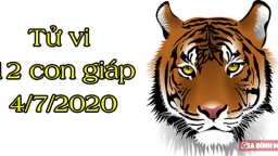 Tử vi 12 con giáp hôm nay 4/7/2020: Tuổi Dần bị cản trở, tuổi Mão khởi sắc