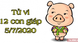 Tử vi 12 con giáp hôm nay 5/7/2020: Tuổi Hợi vô cùng bận rộn, tuổi Dần suôn sẻ