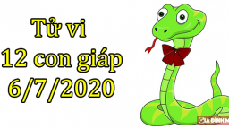 Tử vi 12 con giáp hôm nay 6/7/2020: Tuổi Sửu thăng tiến, tuổi Tị gặp rắc rối