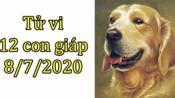 Tử vi 12 con giáp hôm nay 8/7/2020: Tuổi Tuất có họa thị phi, tuổi Hợi thuận lợi