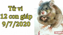 Tử vi 12 con giáp hôm nay 9/7/2020: Tuổi Tý suôn sẻ, tuổi Sửu phòng tiểu nhân