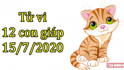 Tử vi 12 con giáp hôm nay 15/7: Tuổi Mão nhiều tin vui, tuổi Thìn cần tỉnh táo