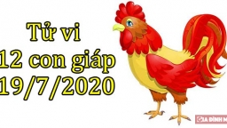 Tử vi 12 con giáp hôm nay 19/7: Tuổi Dậu bình yên, tuổi Tuất gặp thử thách