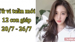 Tử vi 12 con giáp tuần mới từ 20 - 26/7: Tuổi Mão được giúp đỡ, tuổi Ngọ không ổn định