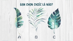 Trắc nghiệm tâm lý: Chiếc lá bạn chọn tiết lộ điều bạn đang khao khát nhất