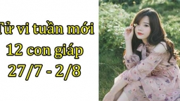 Tử vi 12 con giáp tuần mới từ 27/7 - 2/8: Tuổi Tuất trắc trở, tuổi Dậu tốt đẹp