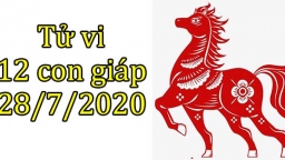 Tử vi 12 con giáp hôm nay 28/7: Tuổi Ngọ có cơ hội tốt, tuổi Hợi không suôn sẻ