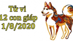 Tử vi 12 con giáp hôm nay 1/8: Tuổi Tuất gặp nhiều may mắn, tuổi Hợi đối mặt khó khăn