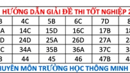 Đáp án đề thi tốt nghiệp THPT 2020 môn Toán mã đề 103