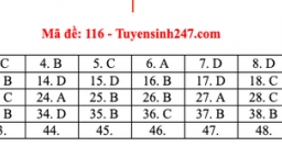 Đáp án đề thi tốt nghiệp THPT 2020 môn Toán mã đề 116