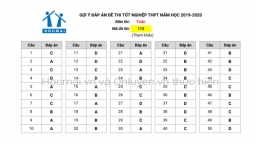 Đáp án đề thi tốt nghiệp THPT 2020 môn Toán mã đề 113