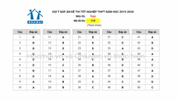 Đáp án đề thi tốt nghiệp THPT 2020 môn Toán mã đề 114