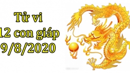 Tử vi 12 con giáp hôm nay 9/8: Tuổi Thìn có tin vui tiền bạc, tuổi Tị tiêu cực