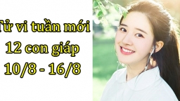 Tử vi 12 con giáp tuần mới từ 10/8 - 16/8: Tuổi Ngọ gặp rắc rối, tuổi Dần thuận lợi