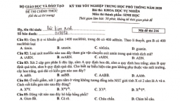 Đáp án đề thi tốt nghiệp THPT 2020 môn Sinh học tất cả các mã đề