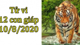 Tử vi 12 con giáp hôm nay 10/8: Tuổi Dần có tranh chấp, tuổi Thìn được tin tưởng