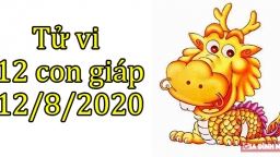 Tử vi 12 con giáp hôm nay 12/8: Tuổi Thìn nên cẩn thận, tuổi Mùi nhiều may mắn