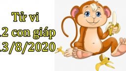 Tử vi 12 con giáp hôm nay 13/8: Tuổi Thân nhiều may mắn, tuổi Tuất có xung đột