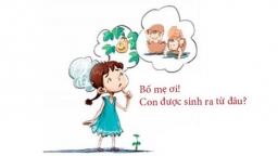 'Con sinh ra từ đâu?' Gợi ý cha mẹ câu trả lời hợp và ý nghĩa hơn câu 'nhặt con ở thùng rác'