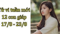 Tử vi 12 con giáp tuần mới từ 17/8 - 23/8: Tuổi Sửu rực rỡ, tuổi Tị gặp khó khăn