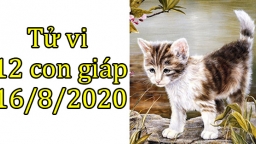 Tử vi 12 con giáp hôm nay 16/8/2020: Tuổi Mão tiền bạc rủng rỉnh, tuổi Mùi tránh thị phi