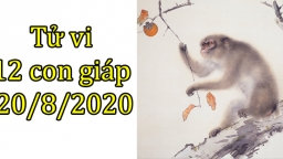 Tử vi 12 con giáp hôm nay 20/8/2020: Tuổi Thân được hỗ trợ, tuổi Dậu gặp thị phi