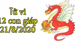 Tử vi 12 con giáp hôm nay 21/8/2020: Tuổi Thìn thuận lợi, tuổi Ngọ nảy sinh mâu thuẫn