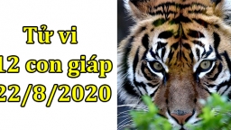 Tử vi 12 con giáp hôm nay 22/8/2020: Tuổi Dần có rủi ro, tuổi Tỵ vận trình thăng hoa