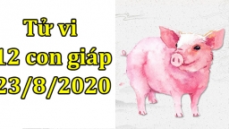 Tử vi 12 con giáp hôm nay 23/8/2020: Tuổi Hợi biết nắm thời cơ, tuổi Mùi hơi nóng nảy