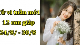 Tử vi 12 con giáp tuần mới từ 24/8 - 30/8 Tuổi Tý bất ổn, tuổi Mão có quý nhân phù trợ