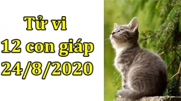 Tử vi 12 con giáp hôm nay 24/8/2020: Tuổi Mão tích cực, tuổi Thìn gặp rắc rối