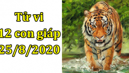 Tử vi 12 con giáp hôm nay 25/8/2020: Tuổi Dần tài vận bất ngờ, tuổi Mão cẩn trọng thị phi