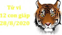 Tử vi 12 con giáp hôm nay 28/8/2020: Tuổi Tuất thuận lợi, tuổi Dậu nên kiềm chế tức giận